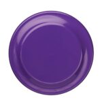 Septim Flying Discs - Image 10