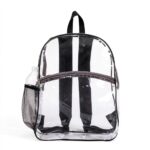 Mancy Clear Backpack - Image 5