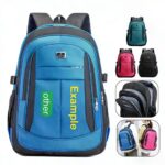 Lorish Business Backpack